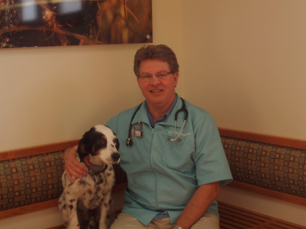 Detroit Lakes Animal Hospital - Detroit Lakes, MN - Dr. Haggart Detroit Lakes Animal Hospital - Detroit Lakes, MN - Dr. Haggart