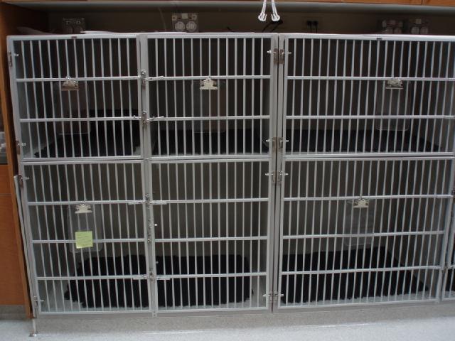 Heated Surgical kennels