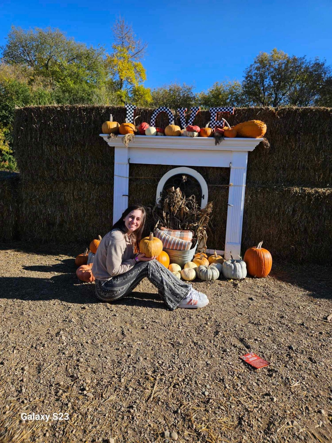 Detroit Lakes Animal Hospital Detroit Lakes, MN Our Staff